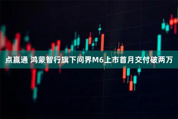 点赢通 鸿蒙智行旗下问界M6上市首月交付破两万