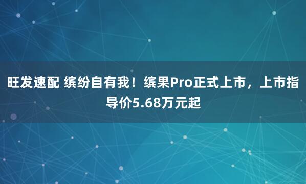 旺发速配 缤纷自有我！缤果Pro正式上市，上市指导价5.68万元起