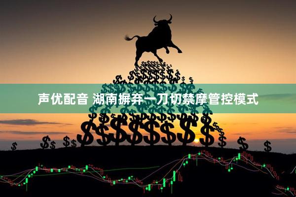 声优配音 湖南摒弃一刀切禁摩管控模式