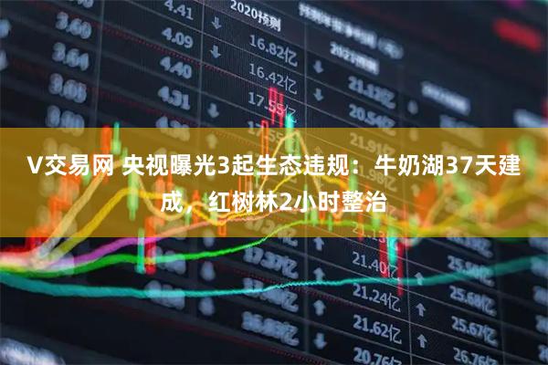 V交易网 央视曝光3起生态违规：牛奶湖37天建成，红树林2小时整治